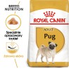 ROYAL CANIN Pug Adult karma sucha dla psów dorosłych rasy mops 1,5 kg
