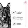 ROYAL CANIN Maxi Adult +5 karma sucha dla psów starszych ras dużych, od 5 do 8 roku życia 15 kg