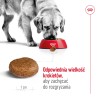 ROYAL CANIN Maxi Adult +5 karma sucha dla psów starszych ras dużych, od 5 do 8 roku życia 15 kg