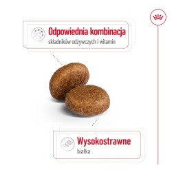ROYAL CANIN Maxi Adult +5 karma sucha dla psów starszych ras dużych, od 5 do 8 roku życia 2x 15kg