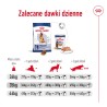 ROYAL CANIN Maxi Adult +5 karma sucha dla psów starszych ras dużych, od 5 do 8 roku życia 2x 15kg