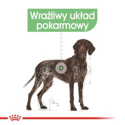 ROYAL CANIN Maxi Digestive Care karma sucha dla psów dorosłych, ras dużych o wrażliwym przewodzie pokarmowym 12kg