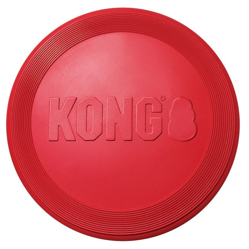 KONG Flyer L