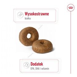 ROYAL CANIN Maxi Ageing 8+ karma sucha dla psów dojrzałych ras dużych, po 8 roku życia 15 kg