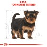 ROYAL CANIN Yorkshire Terrier Puppy karma sucha dla szczeniąt do 10 miesiąca, rasy yorkshire terrier 7,5kg