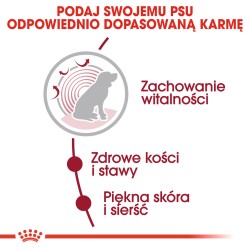 ROYAL CANIN Medium Ageing 10+ karma sucha dla psów dojrzałych ras średnich, po 10 roku życia 15 kg
