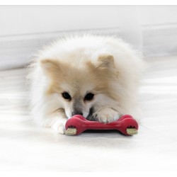 KONG Goodie Bone M