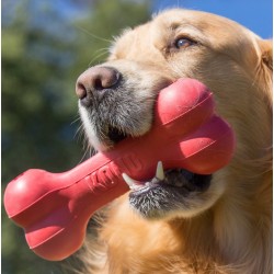 KONG Goodie Bone L