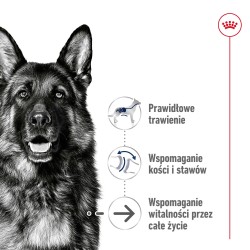ROYAL CANIN Maxi Ageing 8+ karma sucha dla psów dojrzałych ras dużych, po 8 roku życia 2x 15kg