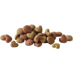 VERSELE-LAGA Happy Life Adult Salmon 15 kg