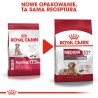 ROYAL CANIN Medium Ageing 10+ karma sucha dla psów dojrzałych ras średnich, po 10 roku życia 2x 15kg