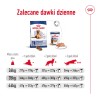 ROYAL CANIN Maxi Ageing 8+ karma sucha dla psów dojrzałych ras dużych, po 8 roku życia 2x 15kg