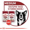 ROYAL CANIN Medium Ageing 10+ karma sucha dla psów dojrzałych ras średnich, po 10 roku życia 2x 15kg