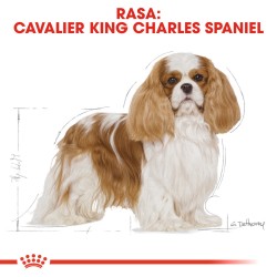 ROYAL CANIN Cavalier King Charles Adult karma sucha dla psów dorosłych rasy cavalier king charles spaniel 1,5 kg
