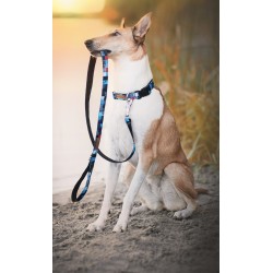 AMIPLAY Smycz Adventure - Kostka XL