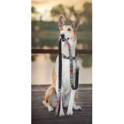 AMIPLAY Smycz Adventure - Abstrakcja M