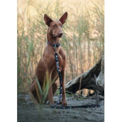 AMIPLAY Obroża regulowana Adventure - Kostka L