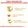 ROYAL CANIN Boxer Adult karma sucha dla psów dorosłych rasy bokser 12kg