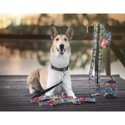 AMIPLAY Obroża regulowana Adventure - Abstrakcja L