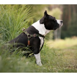 AMIPLAY Szelki regulowane Adventure - Moro L