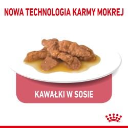 ROYAL CANIN Indoor Sterilised w sosie, karma mokra w sosie dla kotów dorosłych, sterylizowanych, przebywających wyłącznie w domu