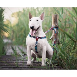 AMIPLAY Szelki regulowane Adventure - Abstrakcja L