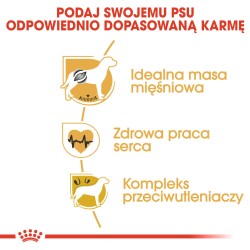 ROYAL CANIN Boxer Adult karma sucha dla psów dorosłych rasy bokser 2x 12kg