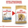 ROYAL CANIN Boxer Adult karma sucha dla psów dorosłych rasy bokser 2x 12kg