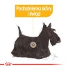 ROYAL CANIN Mini Dermacomfort karma sucha dla psów dorosłych, ras małych, o wrażliwej skórze, skłonnej do podrażnień 8kg