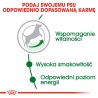 ROYAL CANIN Mini Adult 8+ karma sucha dla psów dojrzałych od 8 do 12 roku życia, ras małych 800g
