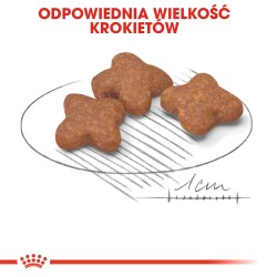 ROYAL CANIN Mini Adult 8+ karma sucha dla psów dojrzałych od 8 do 12 roku życia, ras małych 800g