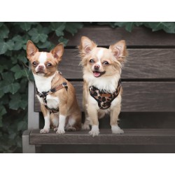 AMIPLAY Szelki Scout Safari - Panterka S