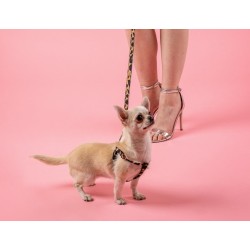 AMIPLAY Szelki regulowane Safari - Panterka S