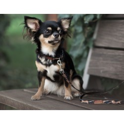 AMIPLAY Obroża regulowana Safari - Panterka M