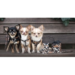 AMIPLAY Obroża regulowana Safari - Panterka S