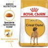 ROYAL CANIN BHN Great Dane Adult 12kg PROMO Uszkodzenie