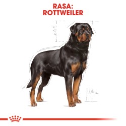 ROYAL CANIN Rottweiler Adult karma sucha dla psów dorosłych rasy rottweiler 12kg