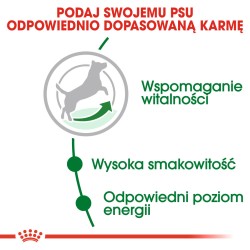 ROYAL CANIN Mini Adult 8+ karma sucha dla psów dojrzałych od 8 do 12 roku życia, ras małych 8kg