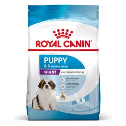 ROYAL CANIN Giant Puppy karma sucha dla szczeniąt ras olbrzymich, od 2 do 8 miesiąca życia 15 kg