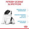 ROYAL CANIN Giant Puppy karma sucha dla szczeniąt ras olbrzymich, od 2 do 8 miesiąca życia 2x 15kg