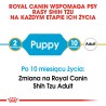 ROYAL CANIN Shih Tzu Puppy karma sucha dla szczeniąt do 10 miesiąca, rasy shih tzu 500g