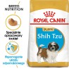ROYAL CANIN Shih Tzu Puppy karma sucha dla szczeniąt do 10 miesiąca, rasy shih tzu 1,5 kg