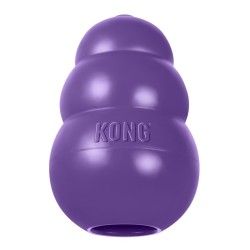 KONG Senior M