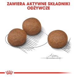 ROYAL CANIN Medium Digestive Care karma sucha dla psów dorosłych, ras średnich o wrażliwym przewodzie pokarmowym 10 kg