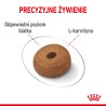 ROYAL CANIN Maxi Light Weight Care karma sucha dla psów dorosłych ras dużych, z tendencją do nadwagi 3 kg