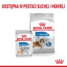 ROYAL CANIN Maxi Light Weight Care karma sucha dla psów dorosłych ras dużych, z tendencją do nadwagi 12kg