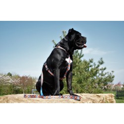 LAUREN DESIGN Color Szelki guard - comic book M