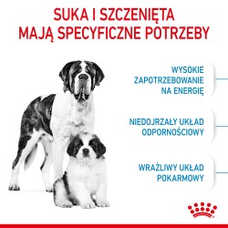ROYAL CANIN Giant Starter Mother & Babydog karma sucha dla suk w ciąży i laktacji, szczeniąt ras olbrzymich 15 kg