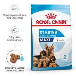 ROYAL CANIN Maxi Starter Mother & Babydog karma sucha dla suk w ciąży i okresie laktacji oraz szczeniąt ras dużych 2x 15kg