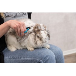 TRIXIE Nożyczki pielęgnacyjne 9cm